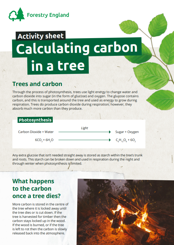 carbon calculator research paper